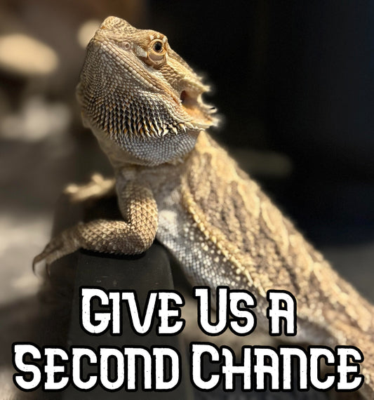 Support the ExoTopia Rescue Fund